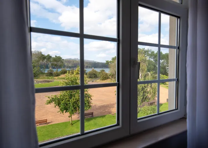 Lar Da Revolta Daire *