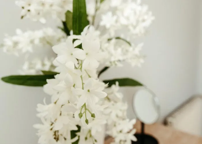 Daire Lar Da Revolta