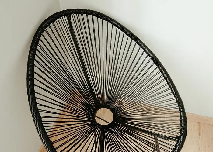 Lar Da Revolta * Cedeira